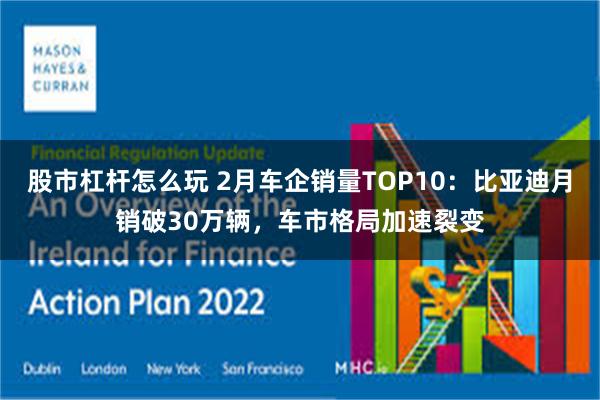 股市杠杆怎么玩 2月车企销量TOP10：比亚迪月销破30万辆，车市格局加速裂变