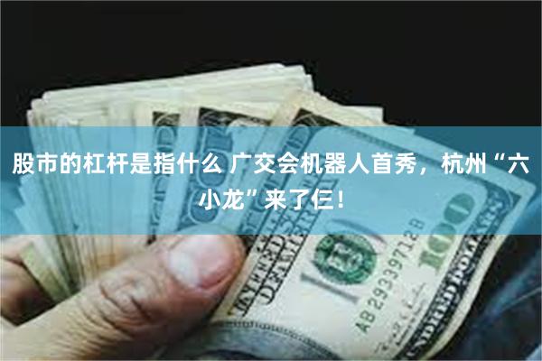 股市的杠杆是指什么 广交会机器人首秀，杭州“六小龙”来了仨！