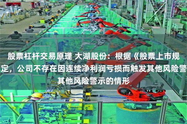 股票杠杆交易原理 大湖股份：根据《股票上市规则》的规定，公司不存在因连续净利润亏损而触发其他风险警示的情形