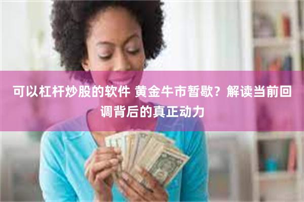 可以杠杆炒股的软件 黄金牛市暂歇？解读当前回调背后的真正动力