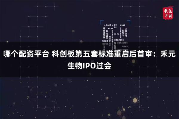 哪个配资平台 科创板第五套标准重启后首审：禾元生物IPO过会