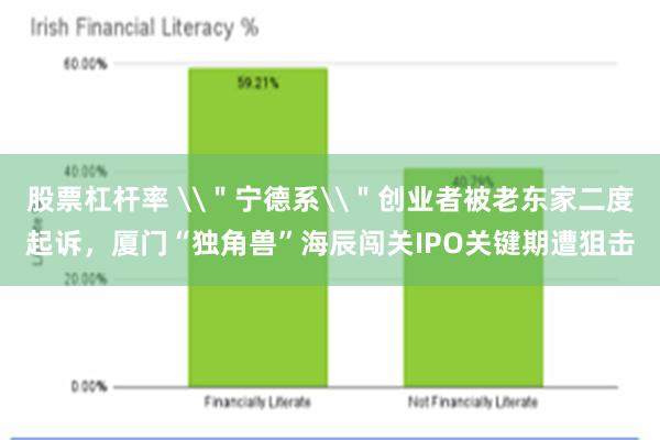 股票杠杆率 \＂宁德系\＂创业者被老东家二度起诉，厦门“独角兽”海辰闯关IPO关键期遭狙击