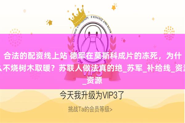 合法的配资线上站 德军在莫斯科成片的冻死，为什么不烧树木取暖？苏联人做法真的绝_苏军_补给线_资源